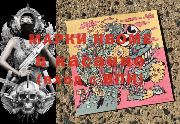 индика Верея