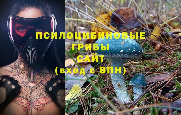 индика Верея
