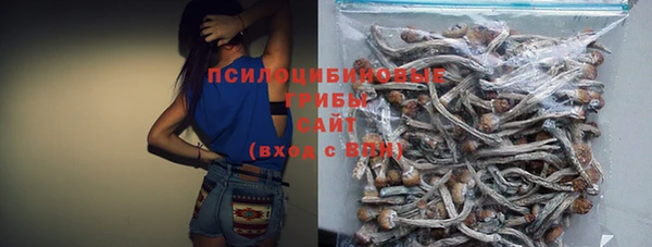 молекула духа Бородино