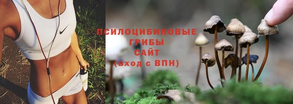 индика Верея