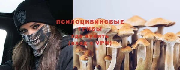 молекула духа Бородино