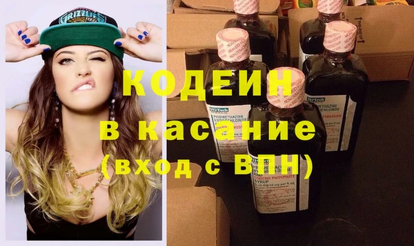 индика Верея