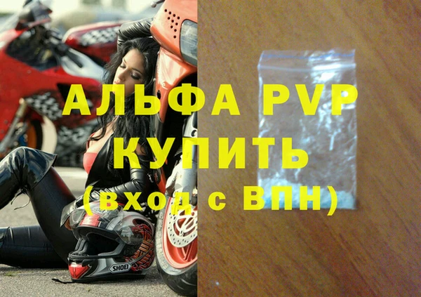 молекула духа Бородино