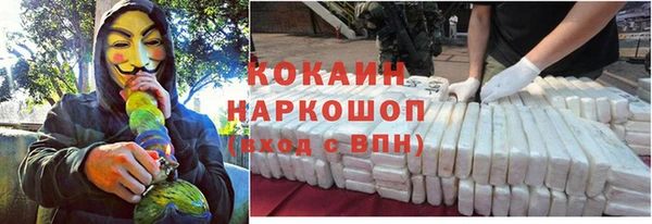 молекула духа Бородино