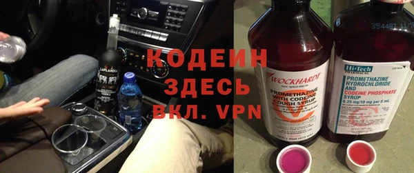 молекула духа Бородино