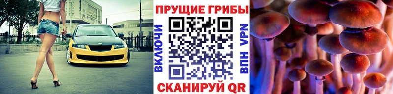 omg ссылка  Керчь  Галлюциногенные грибы GOLDEN TEACHER 